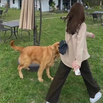 我与机器妹